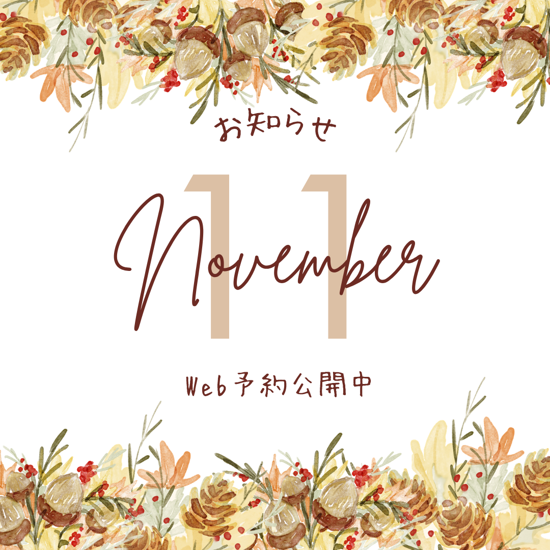 11月 スケジュール　web公開中　11月のイベント情報　告知　Instagram投稿